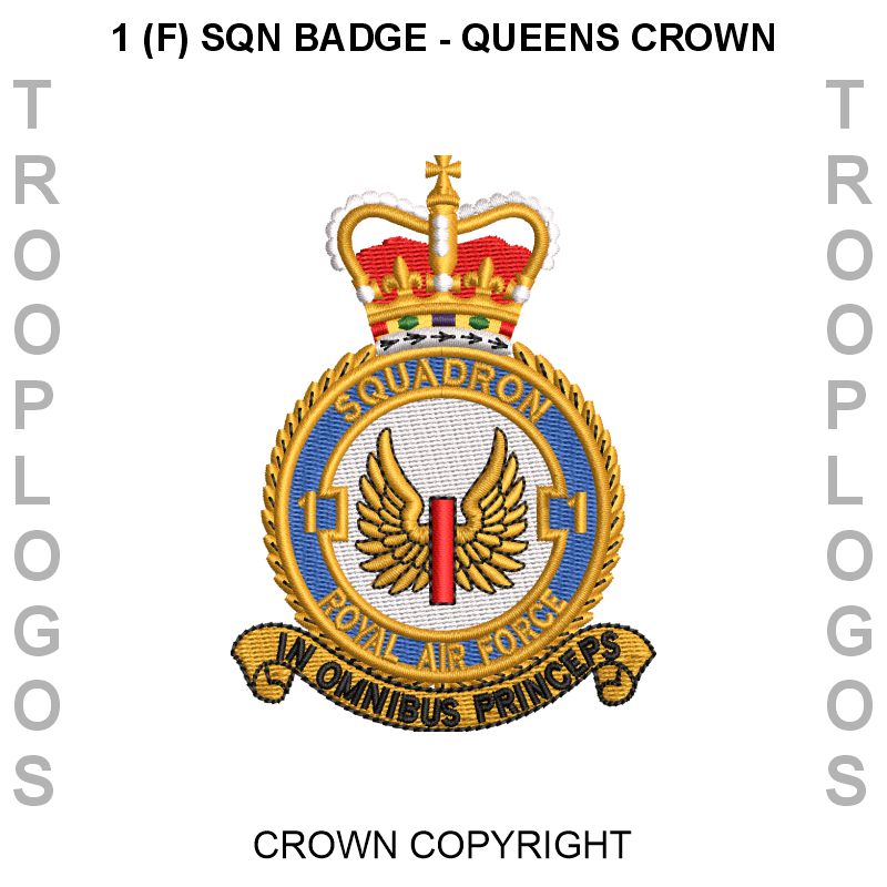1 (F) Squadron RAF Fleece Jacket