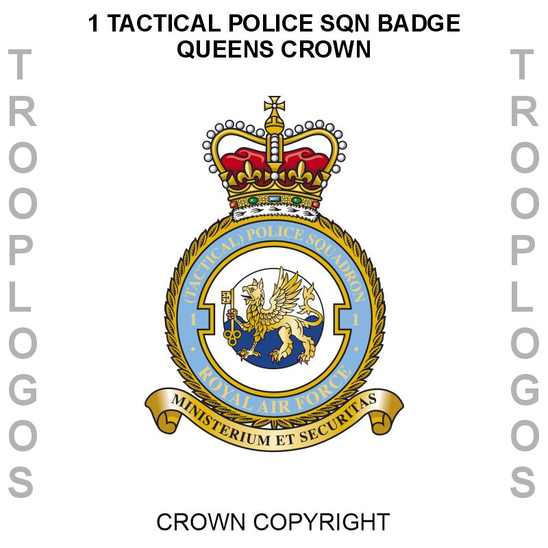 RAF Police Cotton T-shirt
