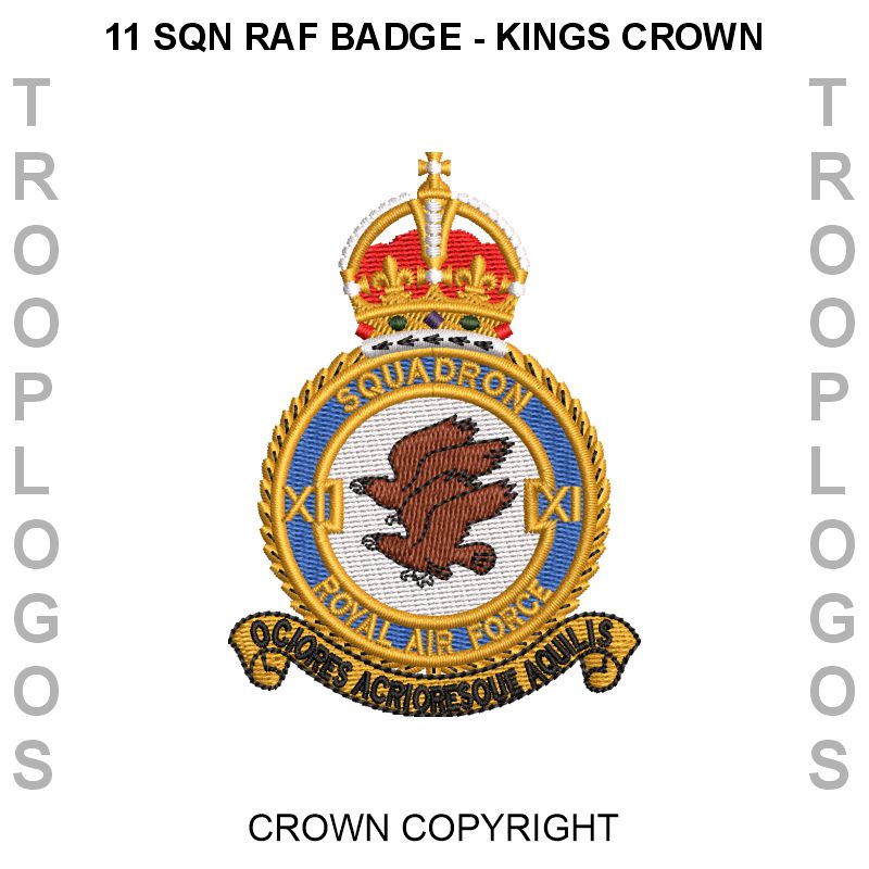 XI (F) Squadron RAF Hoodie