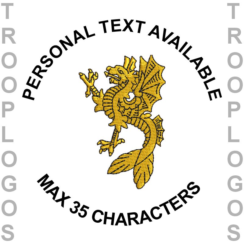 165 Port and Maritime Regt RLC Hoodie