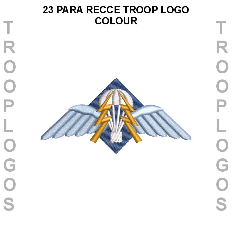 23 Para Engr Regt Sports T-shirt