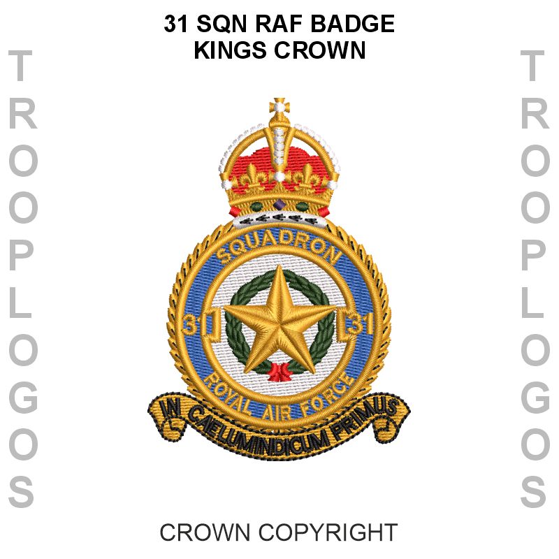 31 Sqn RAF Hoodie