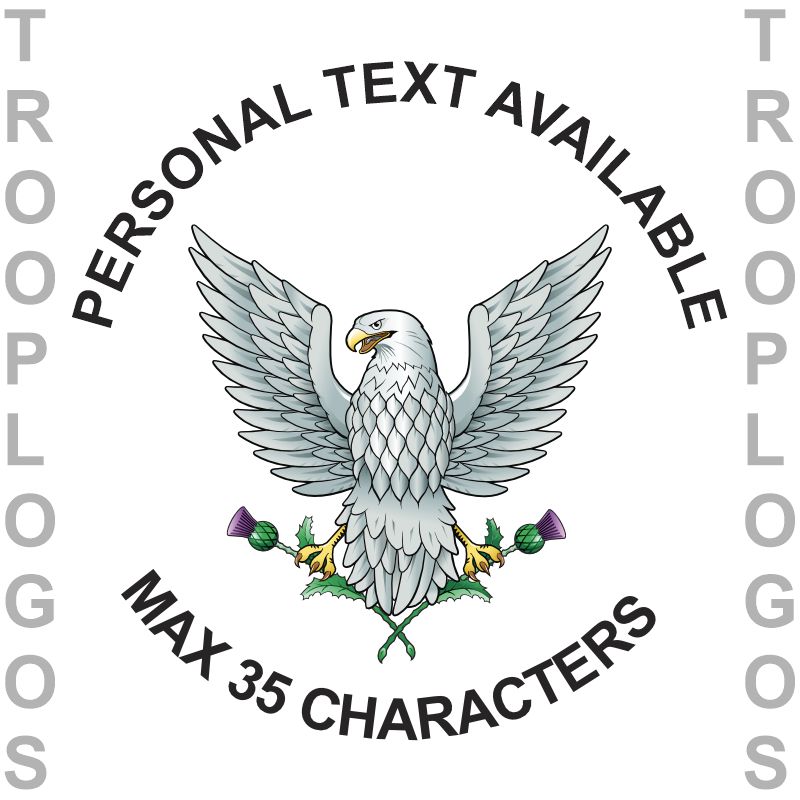 39 Engineer Regt Badge