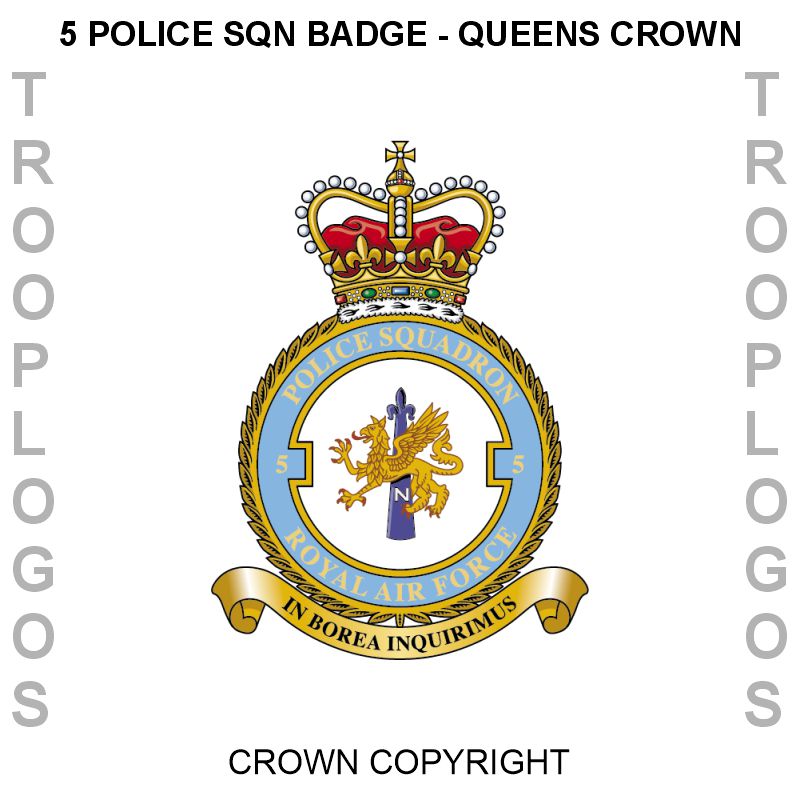 RAF Police Cotton T-shirt