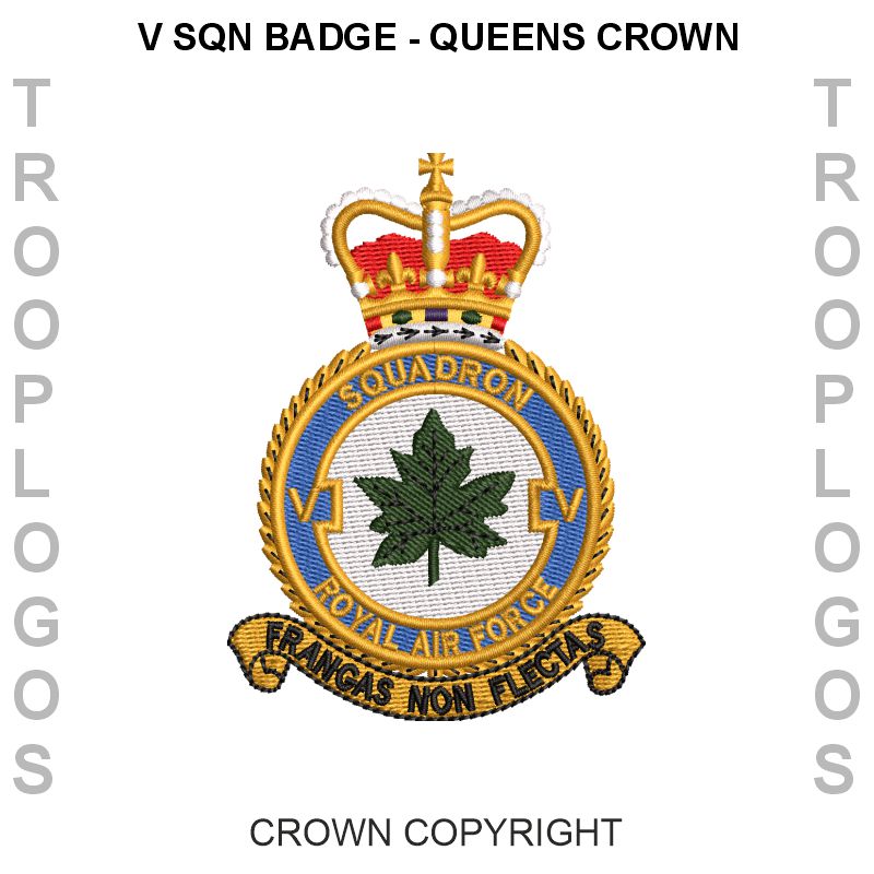 V Squadron RAF Cotton T-shirt