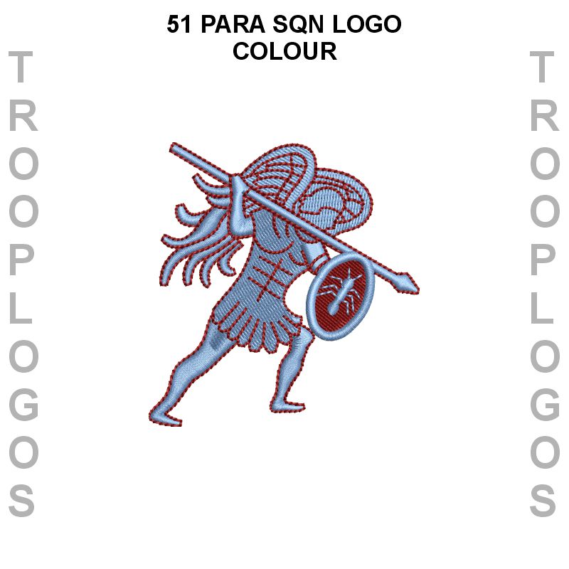 23 Para Engr Regt Sports T-shirt