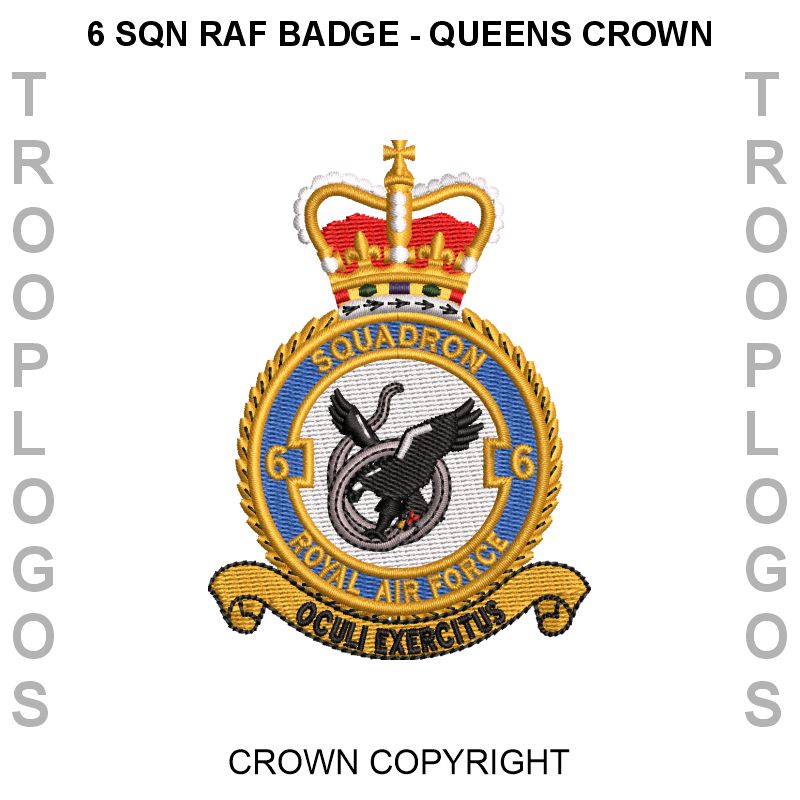 6 Squadron RAF Cotton T-shirt