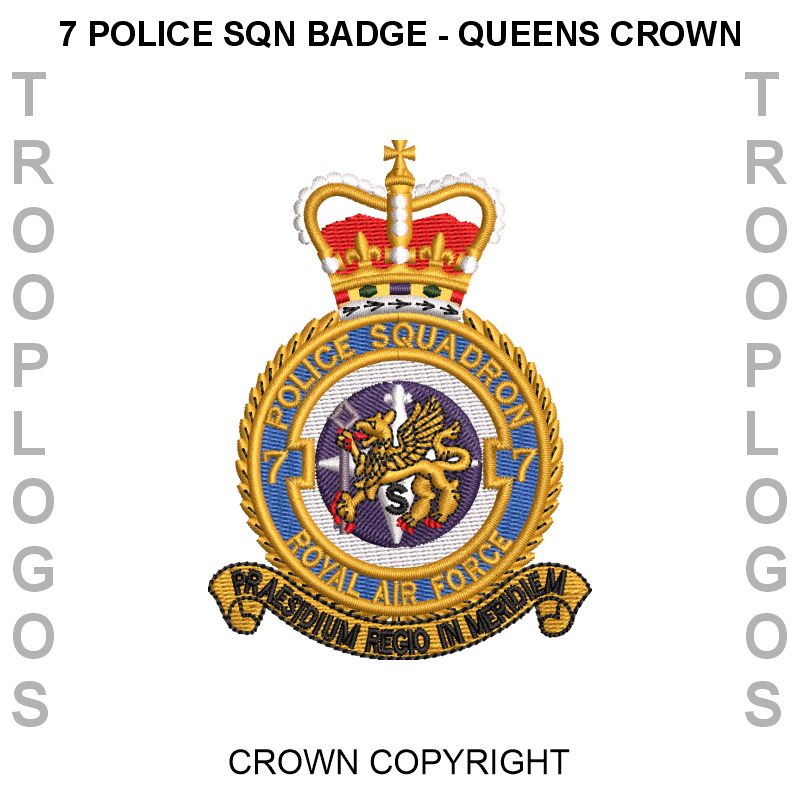 RAF Police Cotton T-shirt