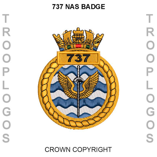 737 NAS Badge