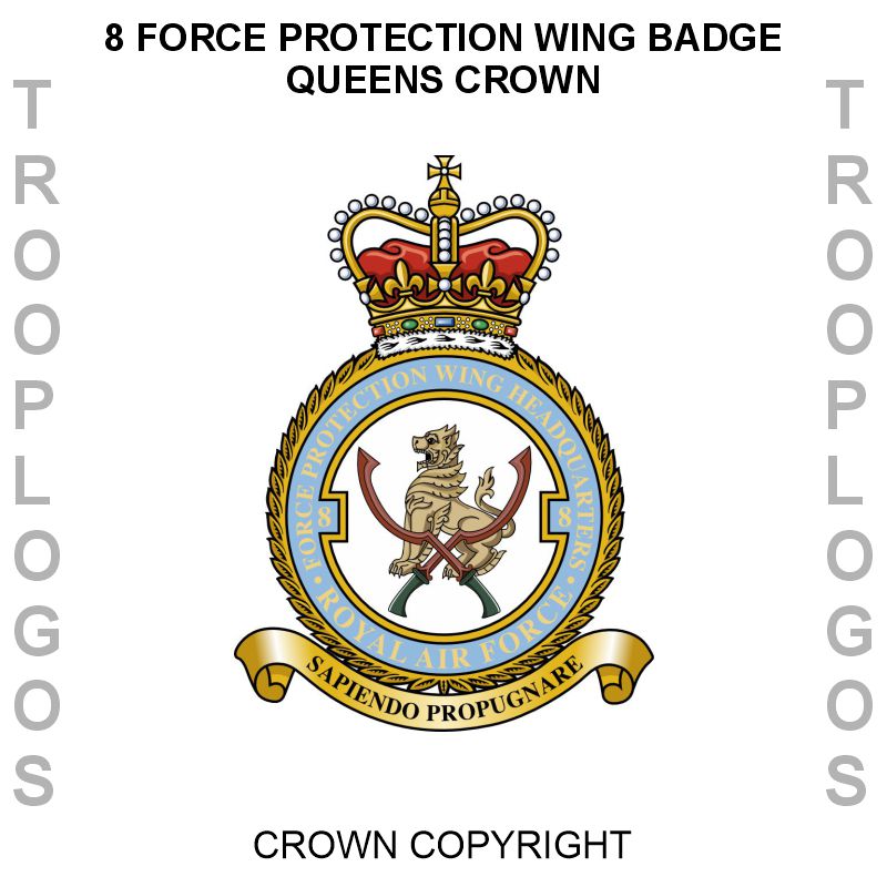 RAF Police Cotton T-shirt