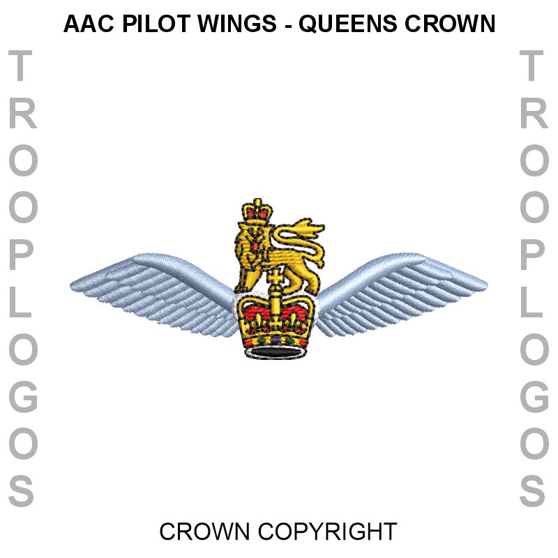 AAC Pilot Wings Queens Crown