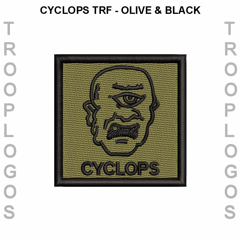 Royal Tank Regiment Hoodie