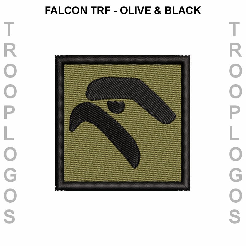 Royal Tank Regiment Hoodie