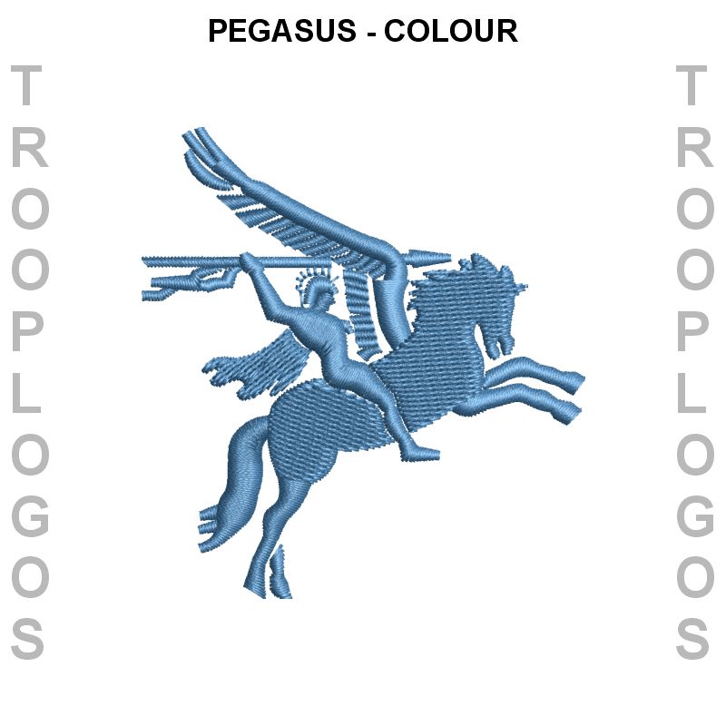 216 Parachute Signal Squadron Cotton T-shirt