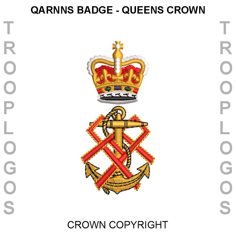 QARNNS Badge