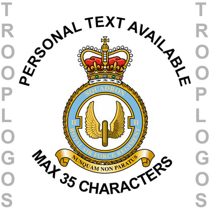 2 Sqn RAF Regt Badge