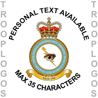 RAF Operational Information Services Badge