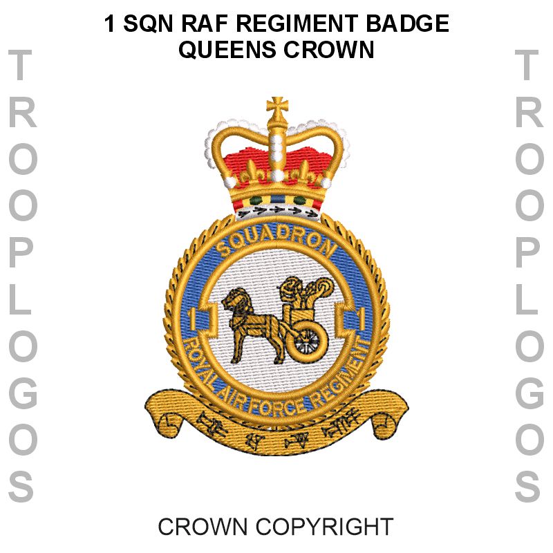 1 Sqn RAF Regiment Hoodie