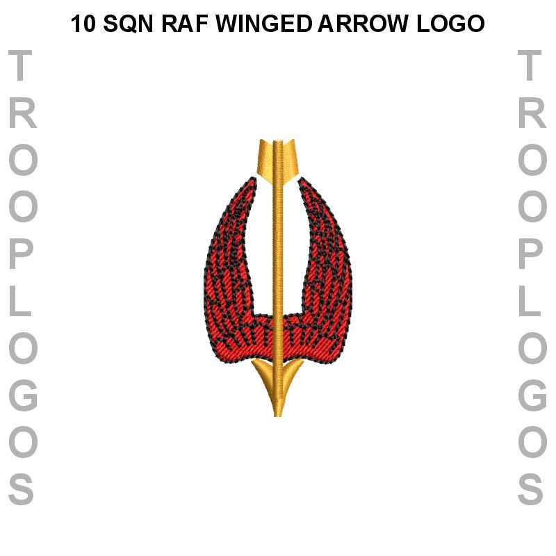 10 Squadron RAF Hoodie