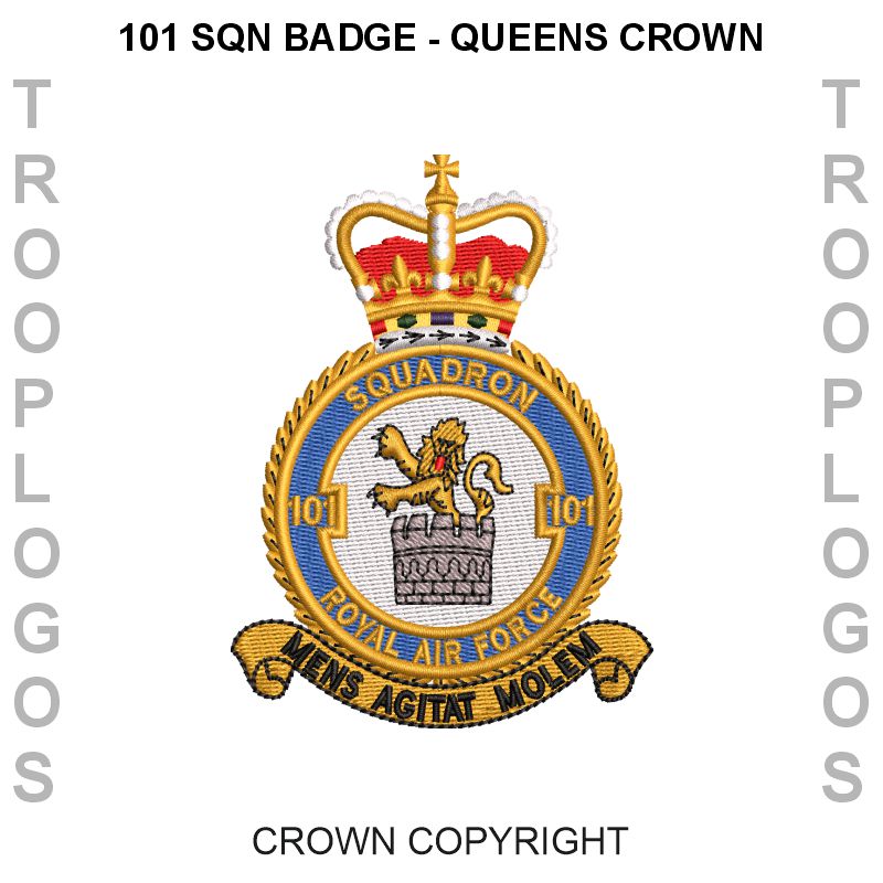 101 Squadron RAF Cotton T-shirt