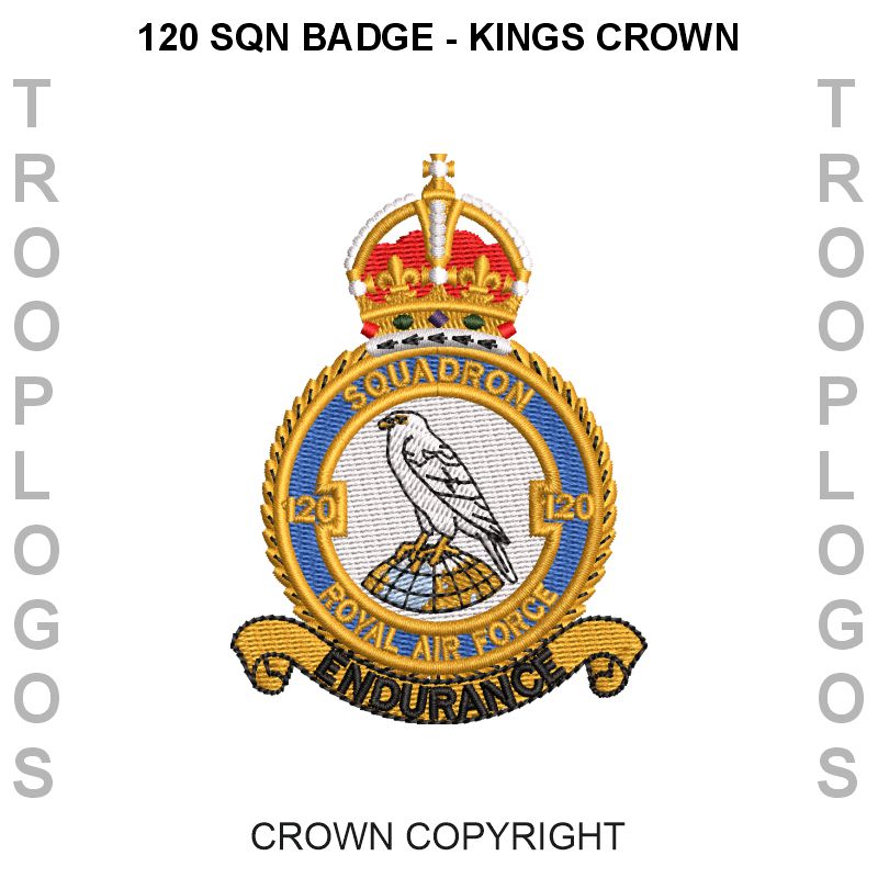 CXX Squadron RAF Hoodie