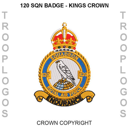 CXX Squadron RAF Hoodie