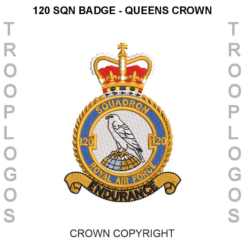 CXX Squadron RAF Hoodie