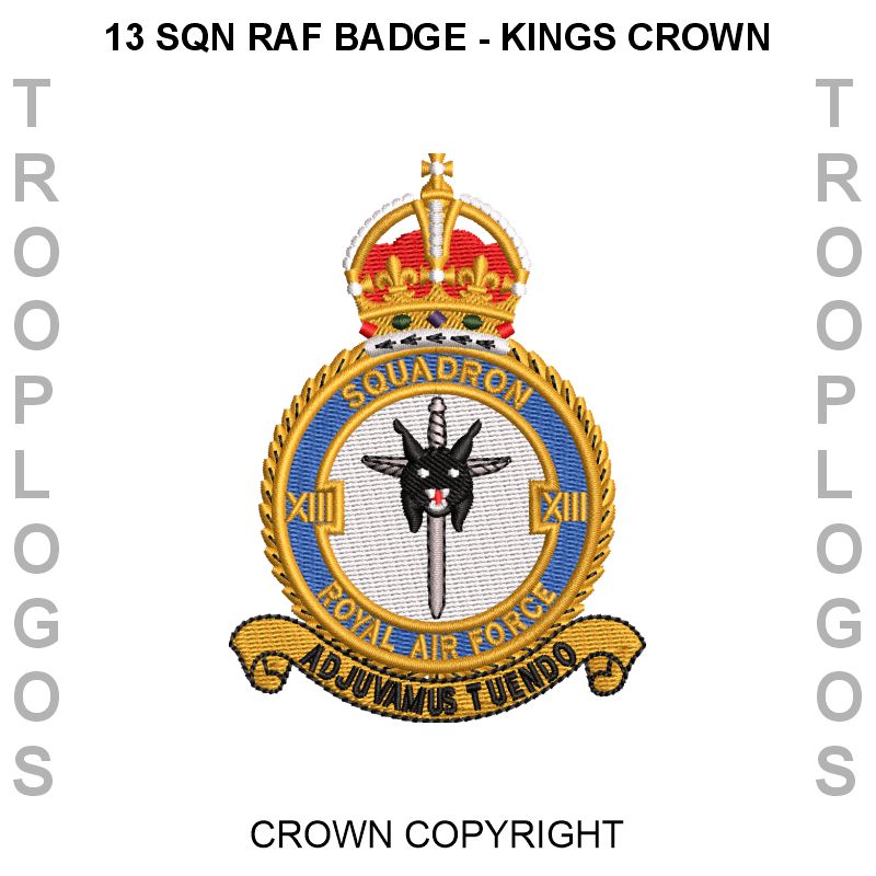 13 Squadron RAF Fleece Jacket