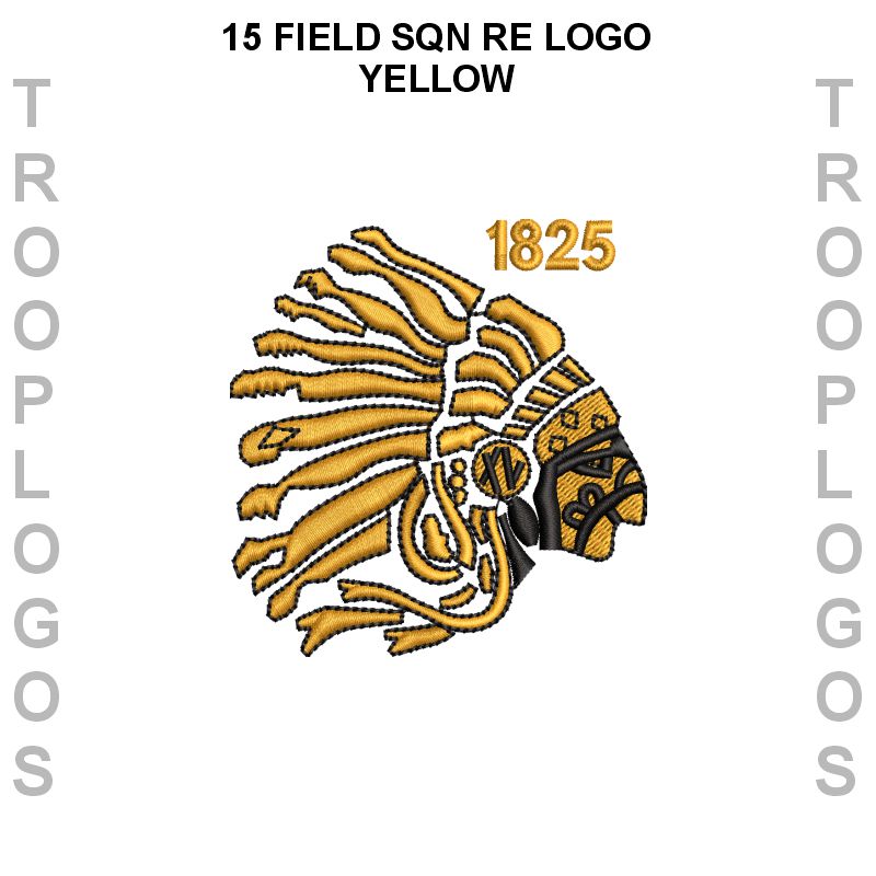 35 Engr Regt EOD Sports Vest