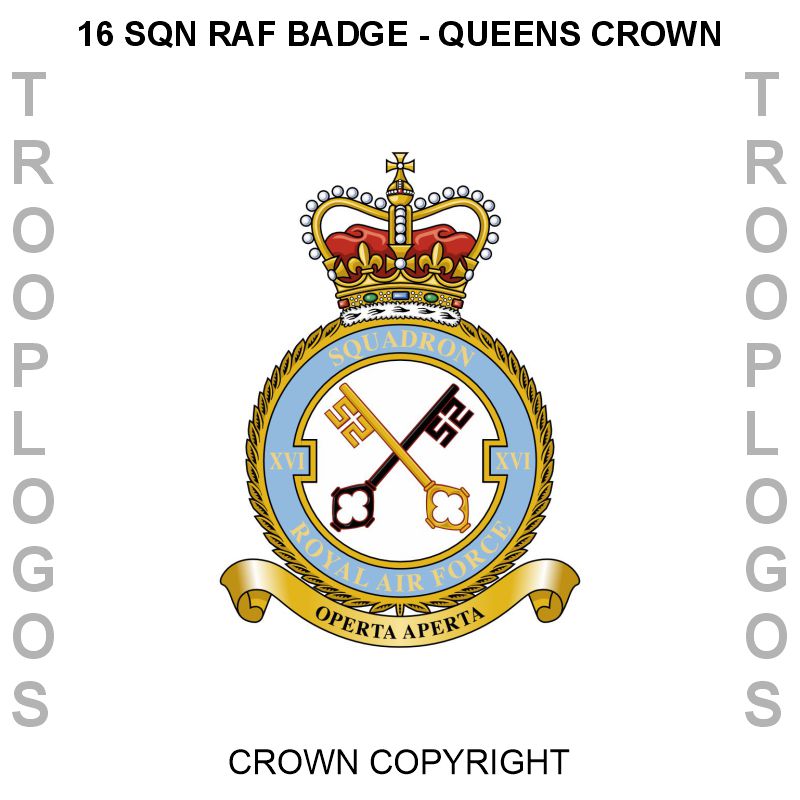 16 Squadron RAF Cotton T-shirt