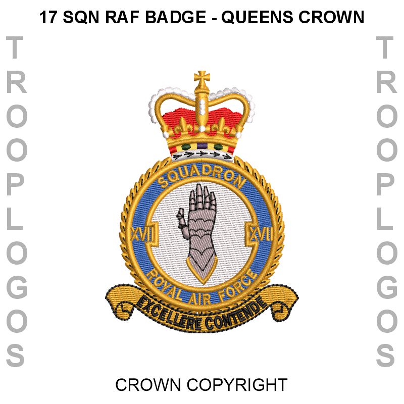 17 Squadron RAF Hoodie
