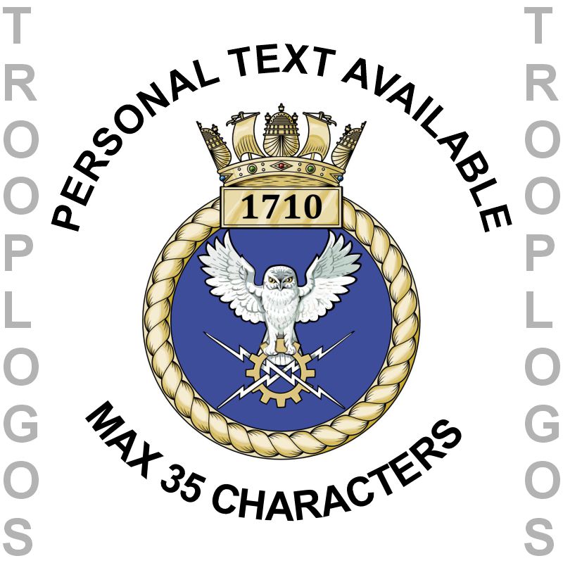 1710 NAS Badge FAA