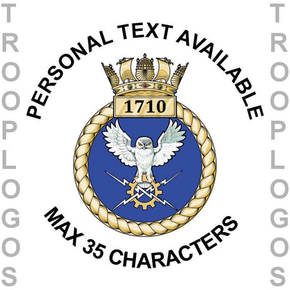 1710 NAS Badge FAA