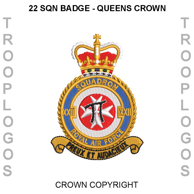 22 Squadron RAF Cotton T-shirt