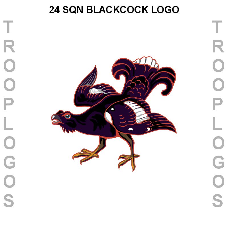 XXIV Squadron RAF Hoodie