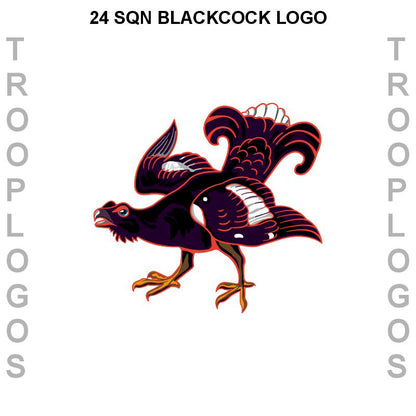 XXIV Squadron RAF Hoodie