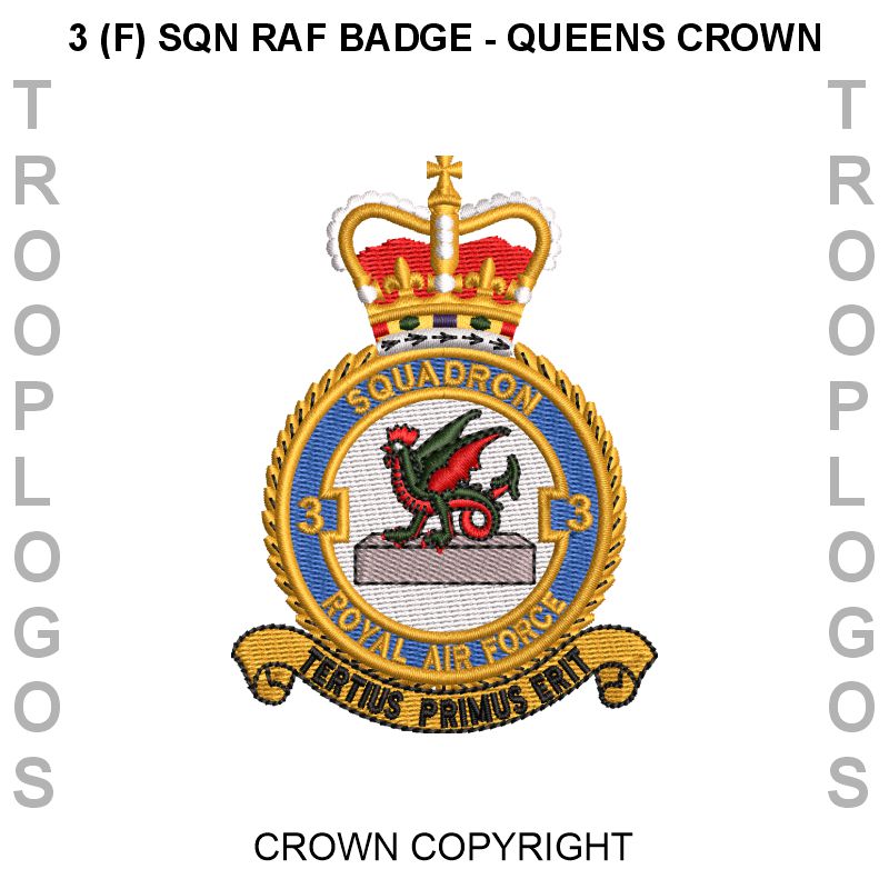 3 (F) Squadron RAF Cotton T-shirt