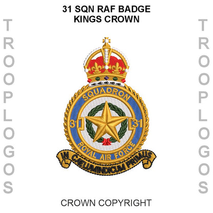 31 Sqn RAF Hoodie