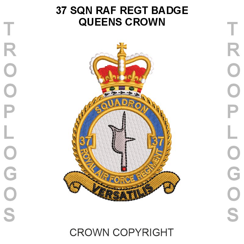 37 Sqn RAF Regiment Hoodie