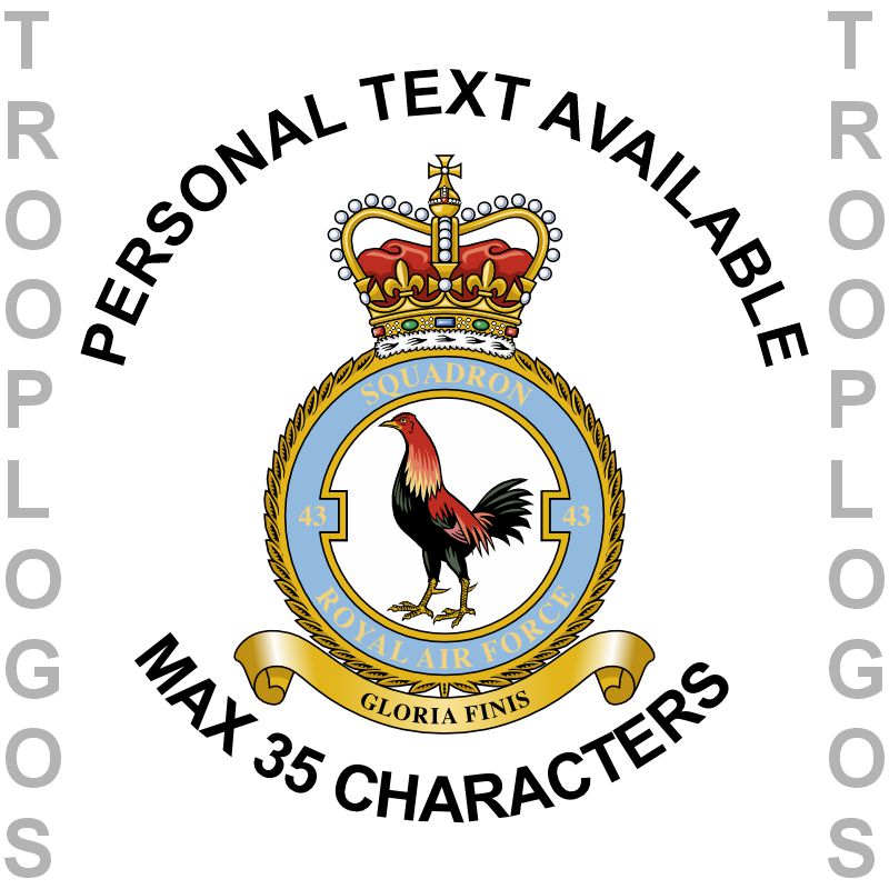 43 Sqn RAF Badge