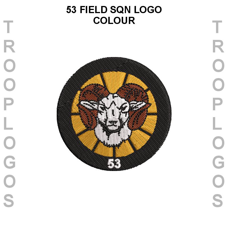 39 Engineer Regiment Cotton T-shirt