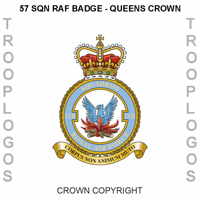 LVII Squadron RAF Cotton T-shirt
