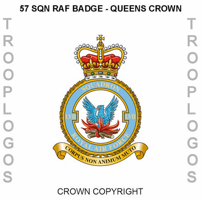 LVII Squadron RAF Cotton T-shirt