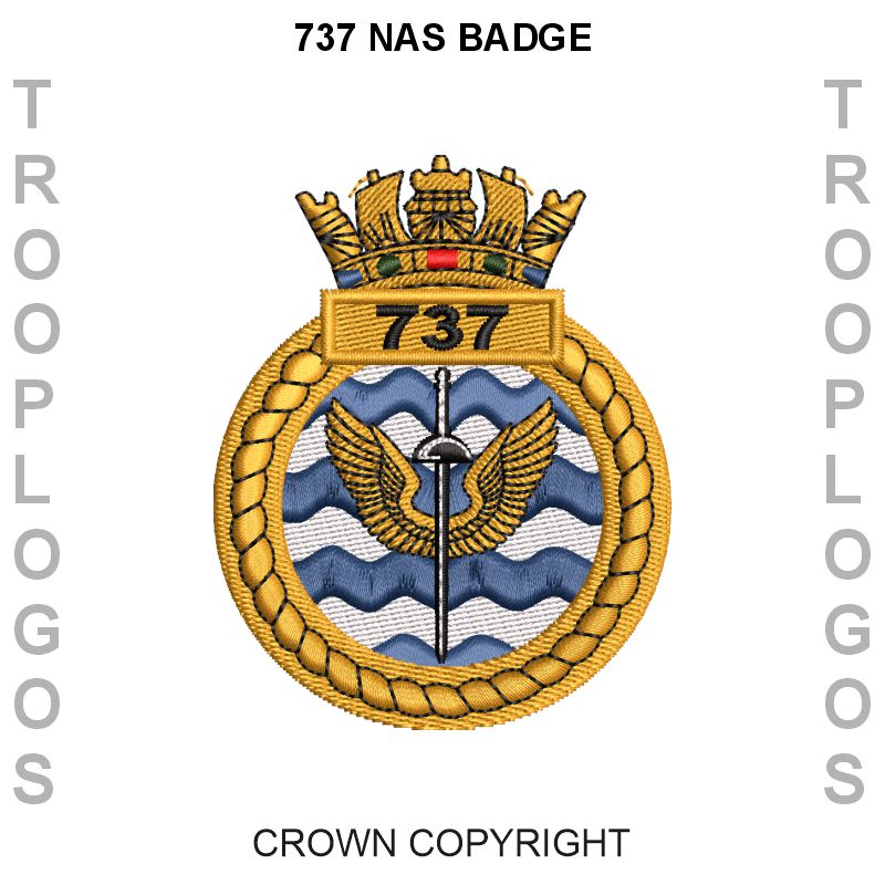 737 NAS Badge