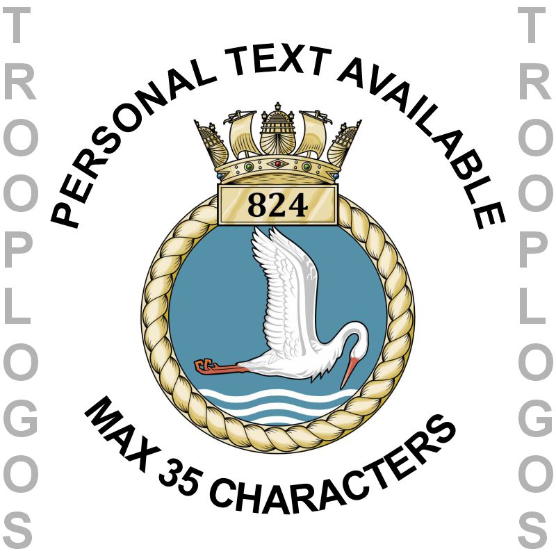824 NAS Badge
