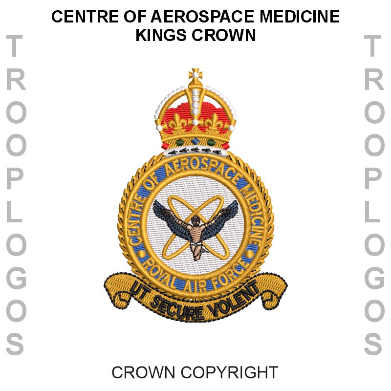 Centre of Aerospace Medicine Badge