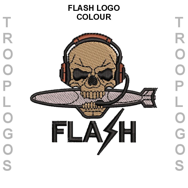 JTAC TACP Flash Logo