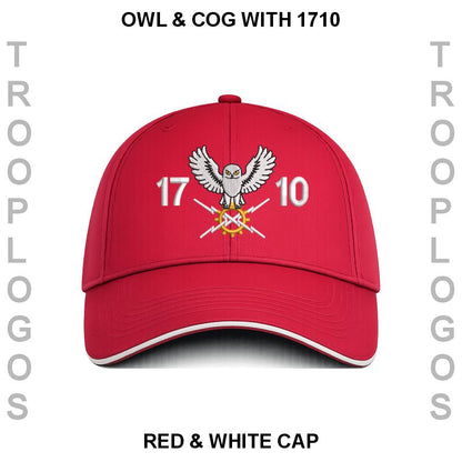 1710 NAS Baseball Cap