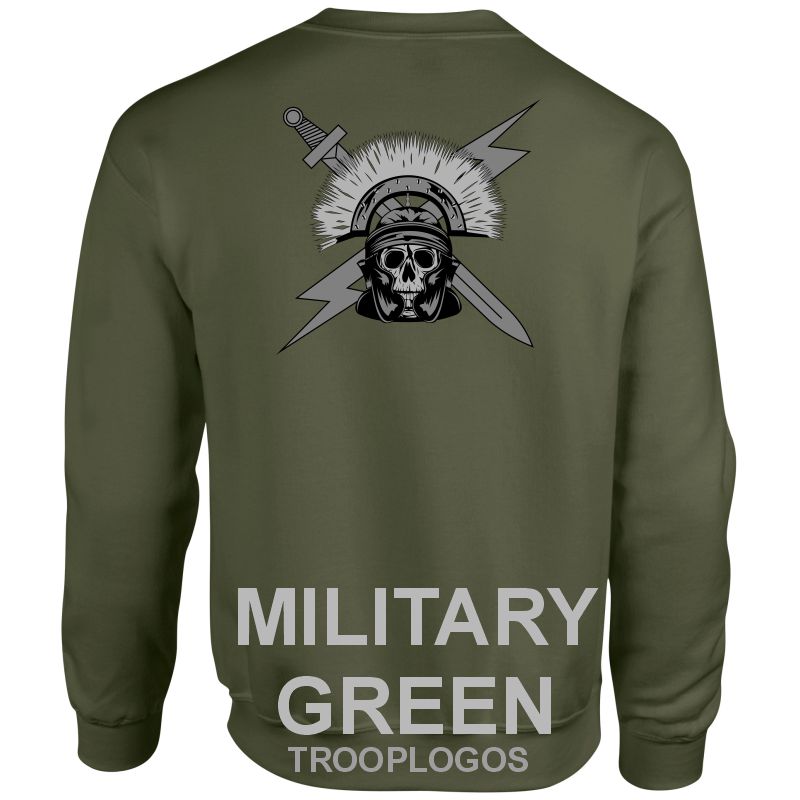 ALI Sqn RAF Regiment Sweatshirt