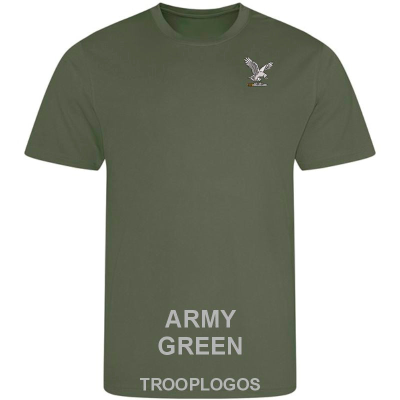 Joint SF Aviation Wing Sports Wicking T-shirt
